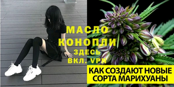 стаф Лихославль