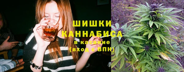 молекула духа Гусь-Хрустальный