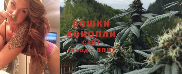 ECSTASY Липки