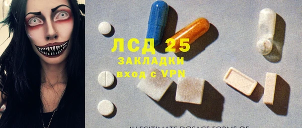 ECSTASY Богданович