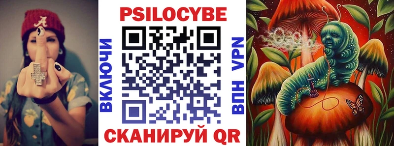 дарк нет наркотические препараты  Гвардейск  Псилоцибиновые грибы Magic Shrooms 