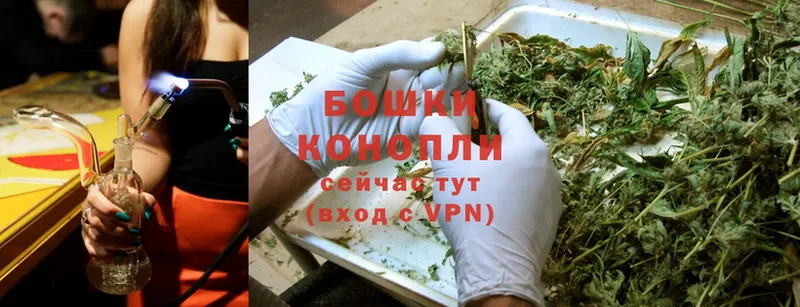 Бошки Шишки SATIVA & INDICA  купить   Гвардейск 